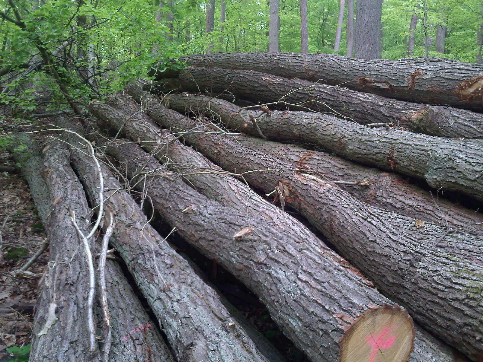 橡木浴室柜的缺点容易开裂吗,橡木浴室柜的优缺点价格