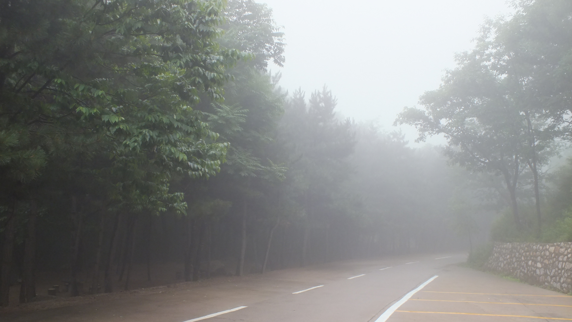 雨中的长白山美景描写,雨中天池