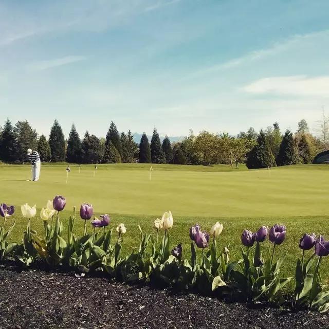 加拿大排名前10的高尔夫球场,著名的高尔夫球场