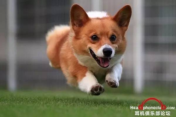 或许是耳机发烧友的第一对音箱——说说真力M030