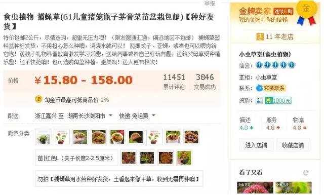 另类电商生意:把植物卖成宠物,把最冷门的做成爆款