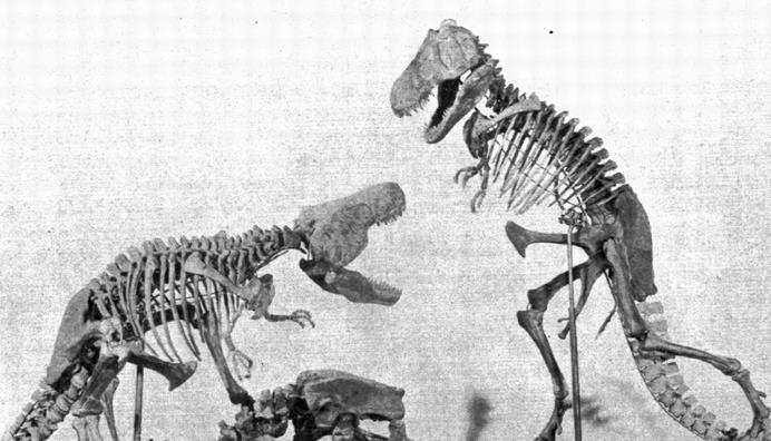 恐龙图片和名字介绍大全集 (儿童认识恐龙的名字和图片)