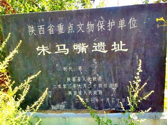 陕西人祖先是胡人还是匈奴人,关中咸阳人是秦人吗