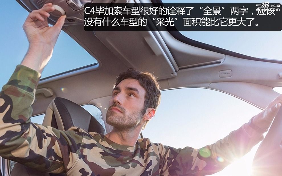 一般人欣赏不了,一般人欣赏不来的艺术花