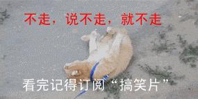 搞笑段子：那年，痴迷我们班一男生，苦苦追了半年