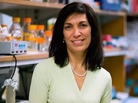 基因突变的自闭症可以治愈吗,揭秘自闭症基因研究进展