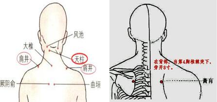 肩膀脖子和腰部僵硬怎么办,手腕僵硬粘连康复锻炼图