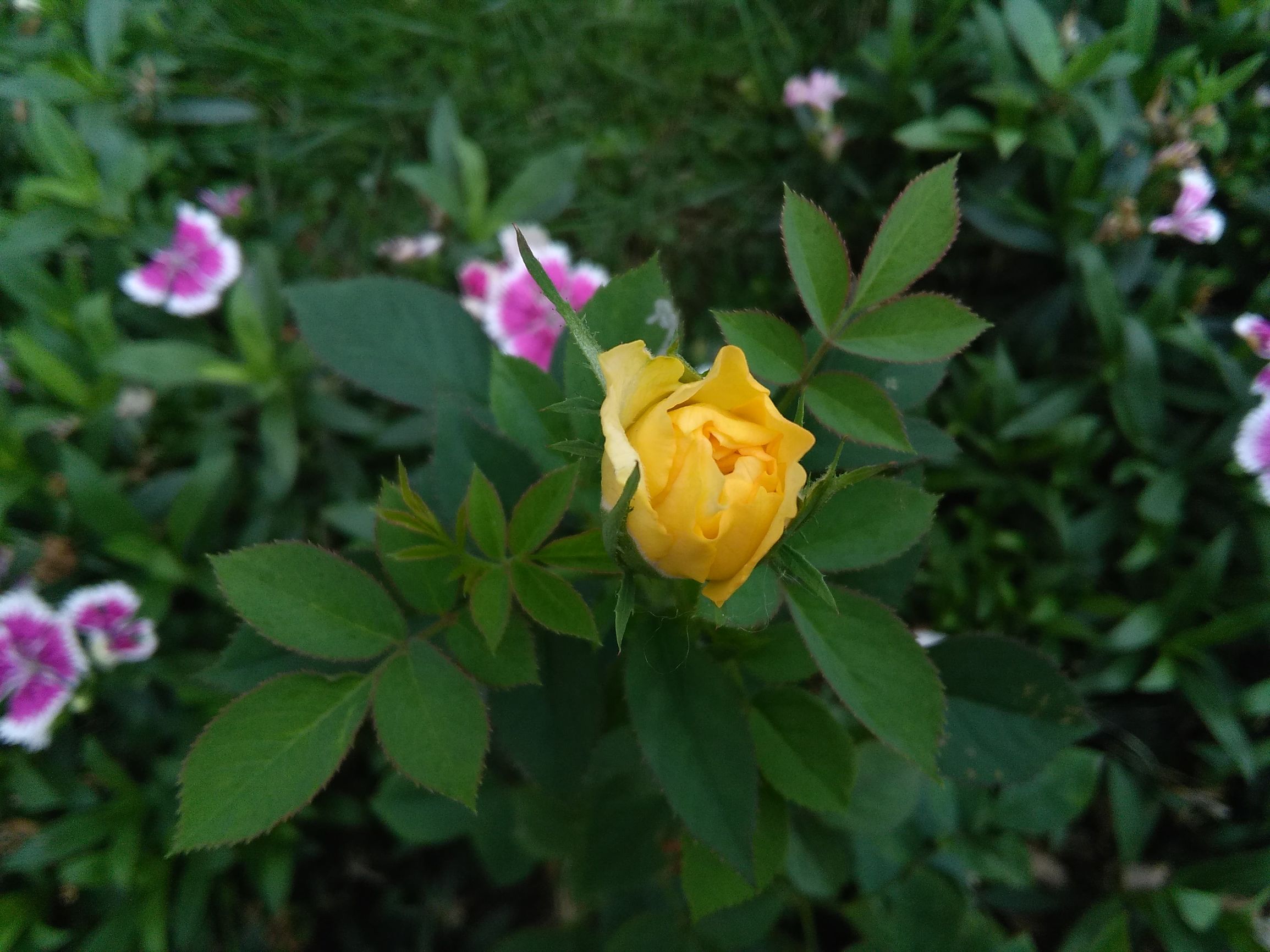 华为揽阅m210.1寸可以玩什么游戏,华为揽阅m210.1寸值得购买吗