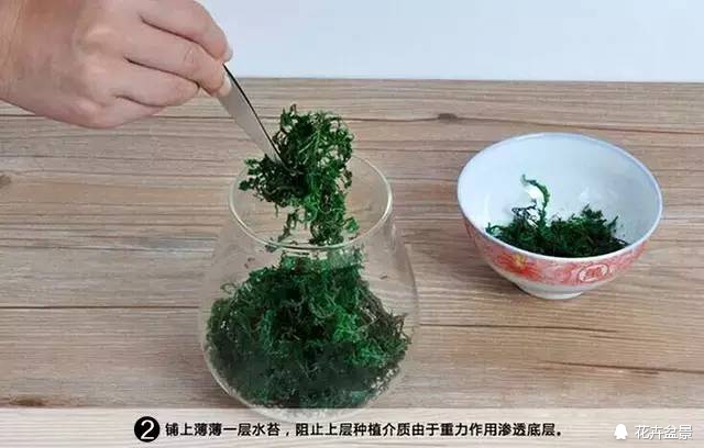 苔痕上阶绿草色入帘青妙在哪里,苔痕上阶绿草色入帘青全文