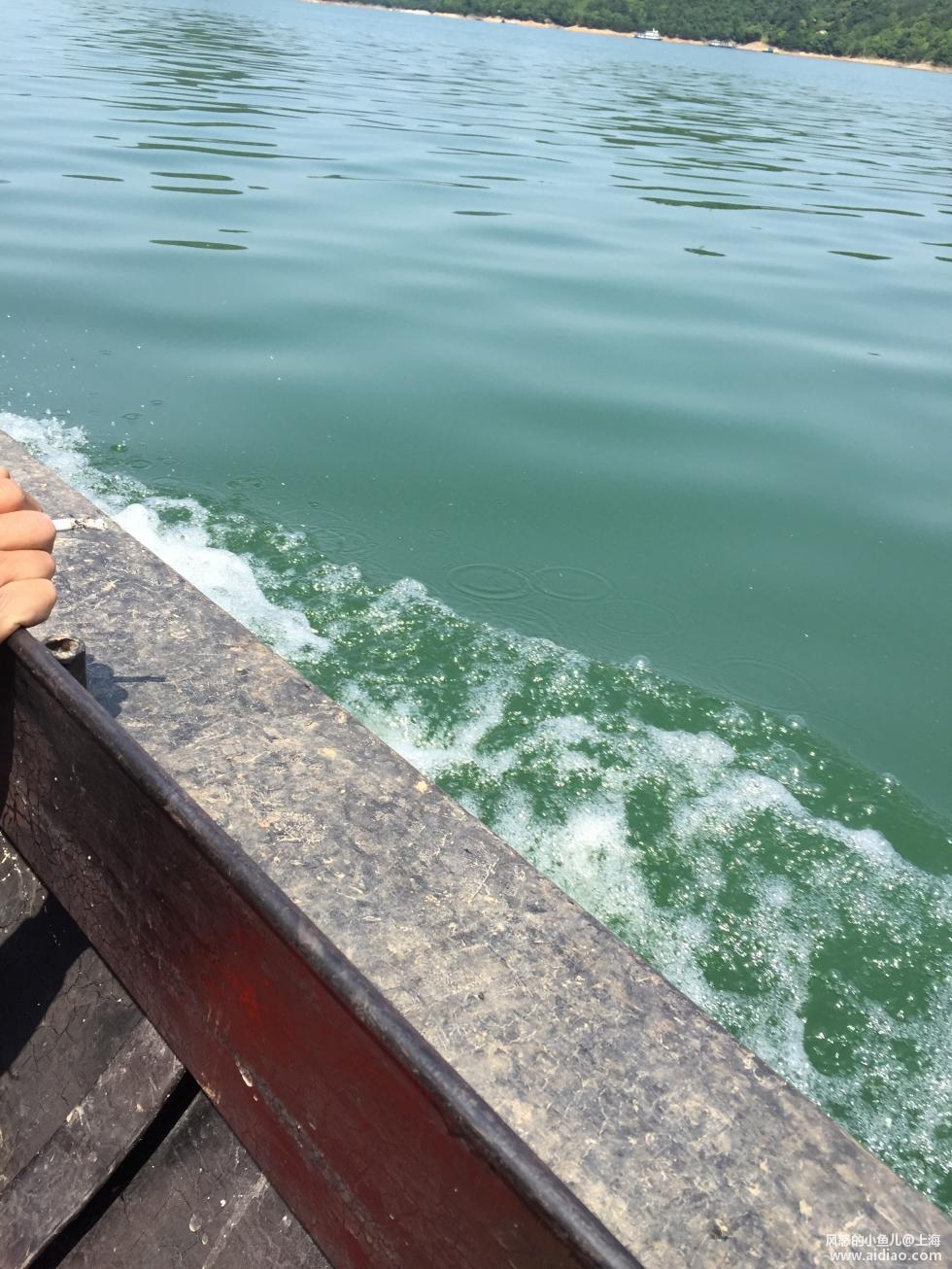 游钓太平湖视频,游钓太平湖