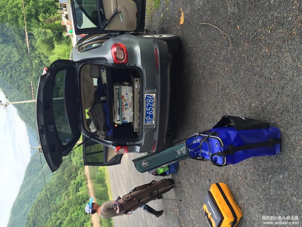 游钓太平湖视频,游钓太平湖