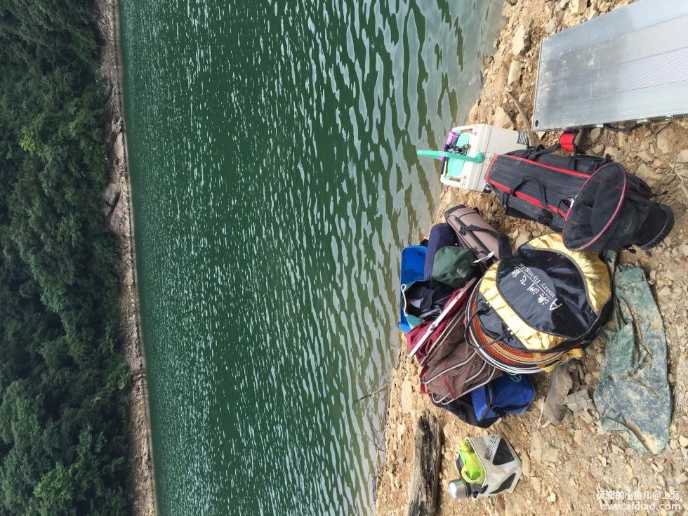 游钓太平湖视频,游钓太平湖