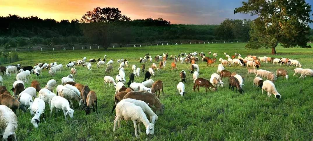 带孩子去马来西亚旅游,带孩子去马来西亚旅游安全吗