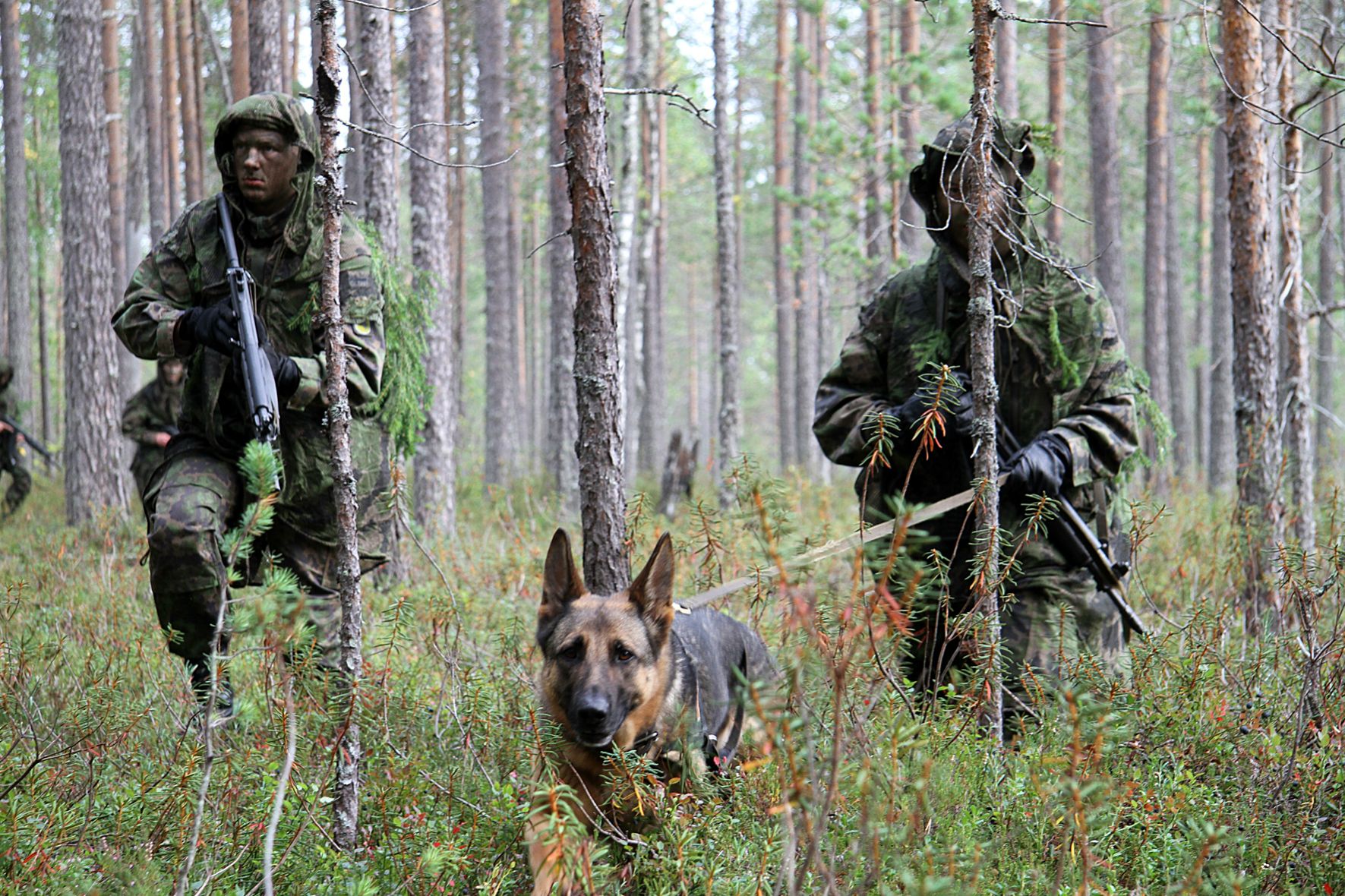 芬兰国家有多厉害,芬兰国家有多强