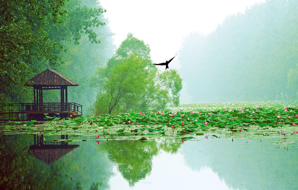 滕州微山湖红荷湿地游览攻略,自驾游山东滕州微山湖红荷湿地