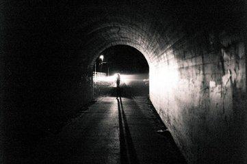 揭秘：神秘的兔子杀手隐藏在“Bunny隧道”的真相