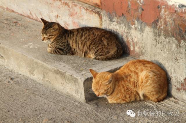 旅行自拍文艺范,假期旅游小清新治愈系