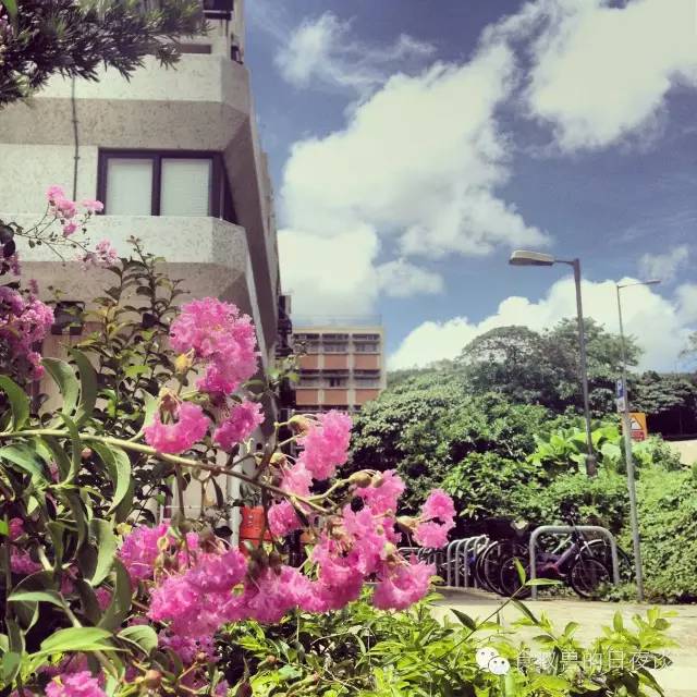 旅行自拍文艺范,假期旅游小清新治愈系