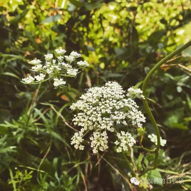 旅行自拍文艺范,假期旅游小清新治愈系