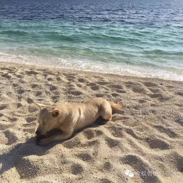 旅行自拍文艺范,假期旅游小清新治愈系