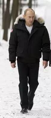 AllaboutCanadaGoose关于加拿大鹅的