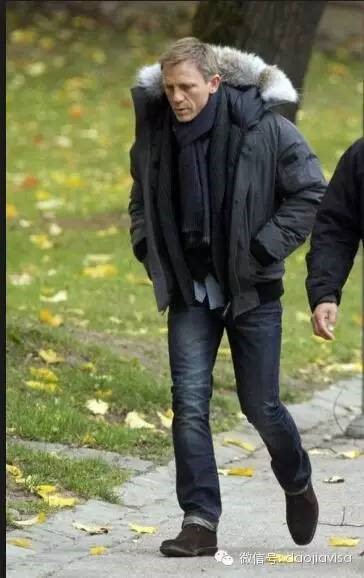 AllaboutCanadaGoose关于加拿大鹅的