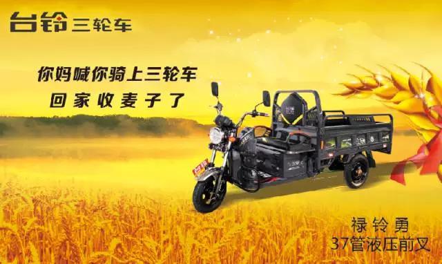 台铃电动休闲三轮车质量怎么样,台铃三轮车全部价格报价表
