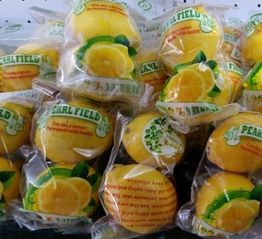 虐到渣渣都不剩:柠檬100%完全使用手册