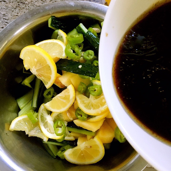 虐到渣渣都不剩:柠檬100%完全使用手册