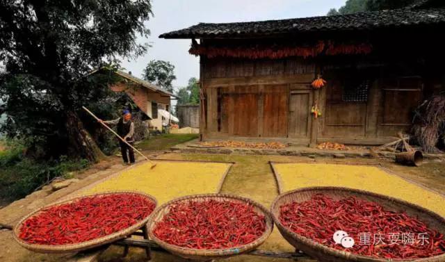 重庆国庆小长假怎么耍农家乐推荐,重庆农家乐和休闲农庄一日游