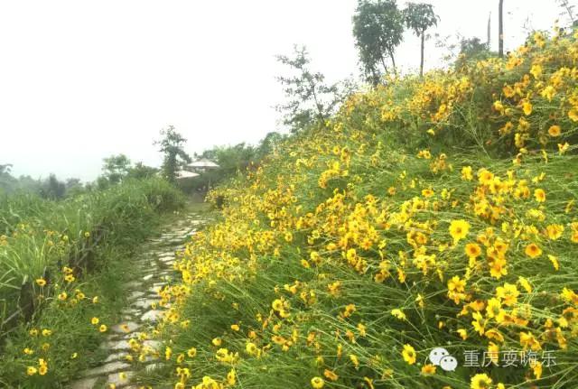 重庆国庆小长假怎么耍农家乐推荐,重庆农家乐和休闲农庄一日游