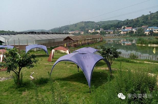 重庆国庆小长假怎么耍农家乐推荐,重庆农家乐和休闲农庄一日游