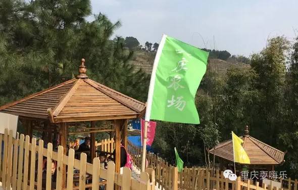 重庆国庆小长假怎么耍农家乐推荐,重庆农家乐和休闲农庄一日游