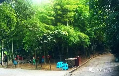 重庆国庆小长假怎么耍农家乐推荐,重庆农家乐和休闲农庄一日游