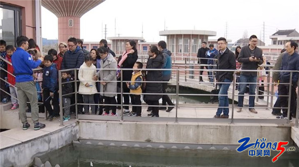 喝的自来水哪里来的,科普自来水从哪里来