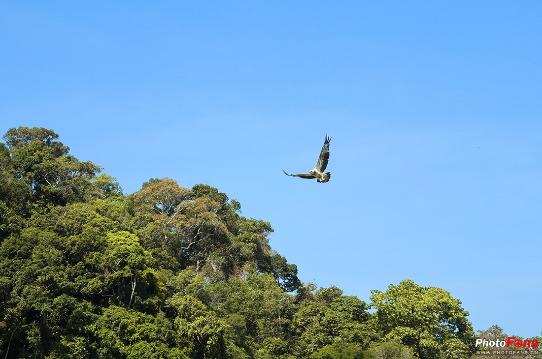 佳能g1xmarkiii测评,口袋怪兽vs小智