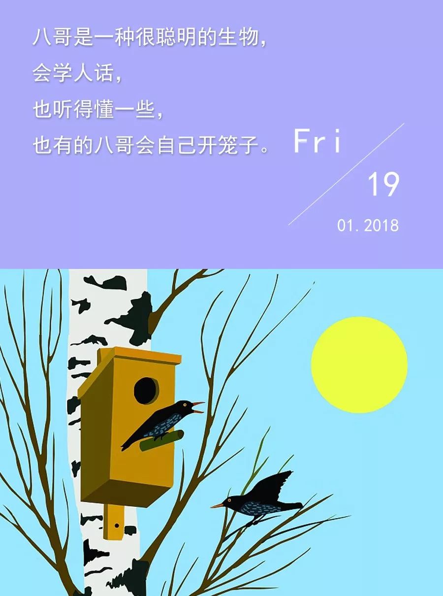 下一个目标是谁小说,下一个目标是谁