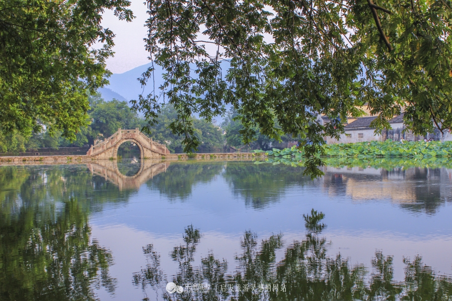 宏村阿菊介绍,宏村阿菊视频