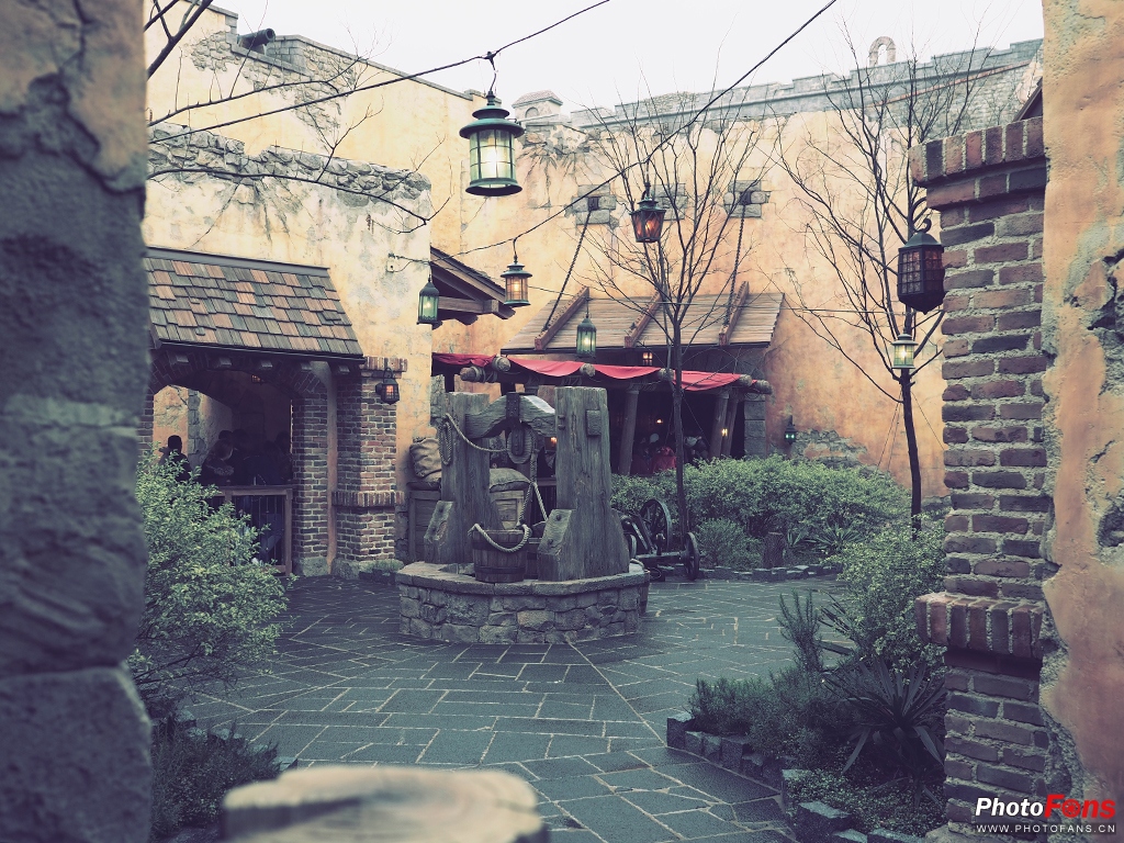 奥林巴斯17mmf1.8能自动对焦吗,奥林巴斯17mmf1.2pro对比老蛙18mm