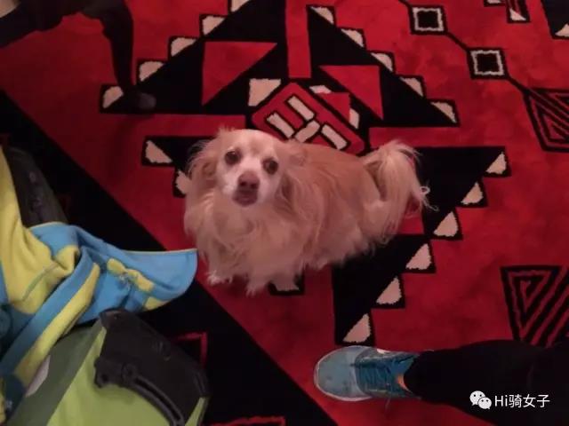 Hi骑女子（7）流着鼻血碾过美国绝美的“母亲之路”66号公路