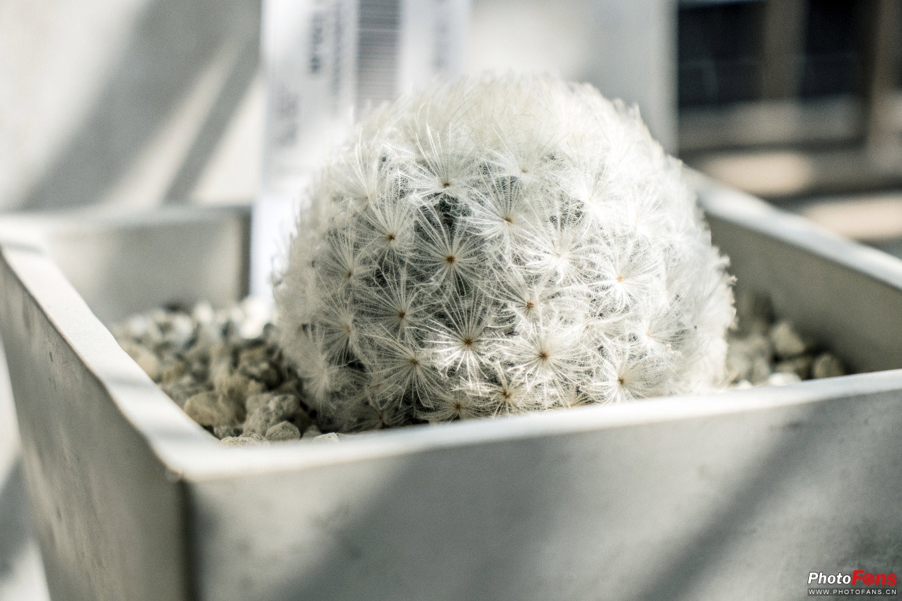 带EOS800D逛书店这个周末的打开方式我给100分