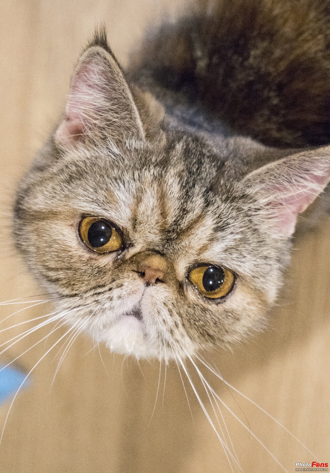 带EOS800D逛书店这个周末的打开方式我给100分