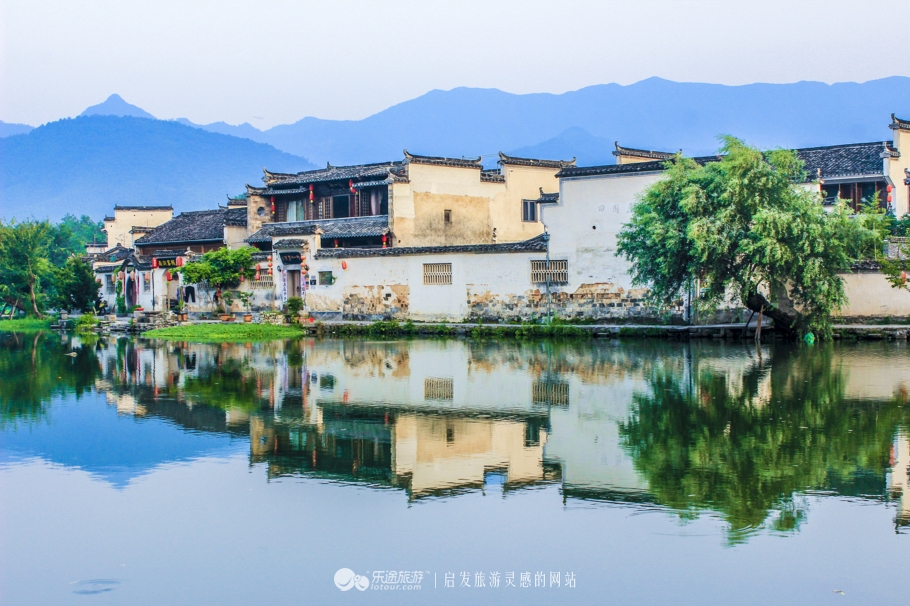 宏村阿菊介绍,宏村阿菊视频