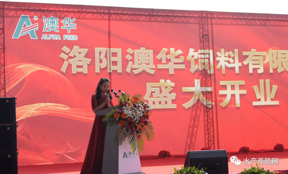 逐鹿中原九州腹地,逐鹿中原攻城