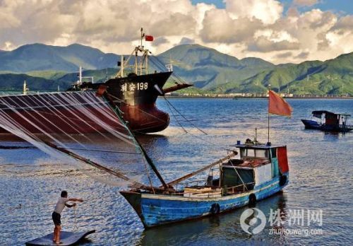 浙江海边小渔村,浙江小渔村自驾