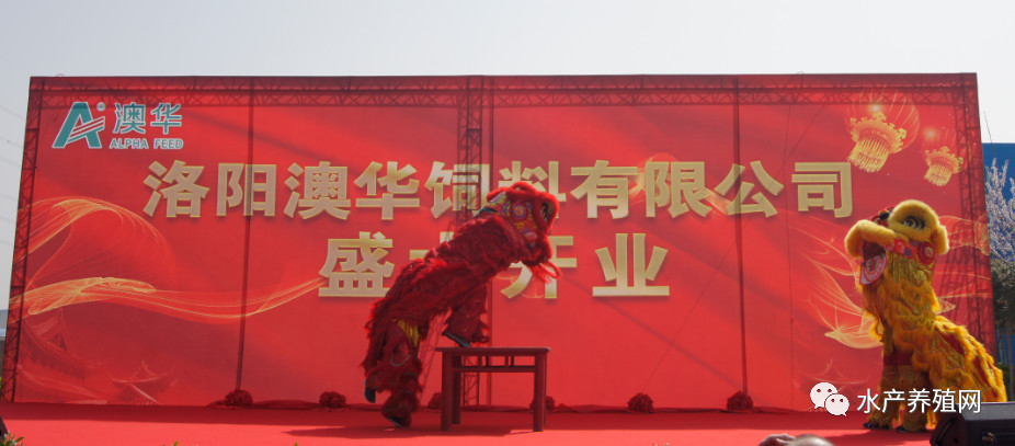 逐鹿中原九州腹地,逐鹿中原攻城