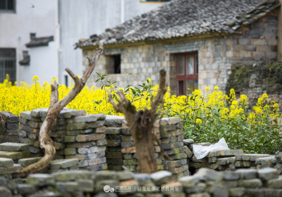 我心中的那个梦想,我心中的那个梦作文