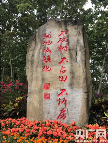 潮起海之南,潮起海之南图片