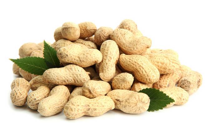 原来这些食物都可以治病,这些食物竟然能治病