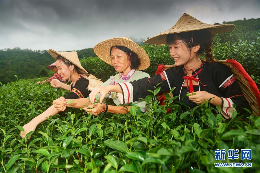 春潮拍岸,改革开放春潮涌动完整版